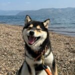 395520067_349543300906254_6733528876470111183_n