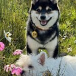 395646805_695905795808137_5269830971560578013_n