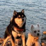 396914508_1888454928278801_1165458351496969657_n